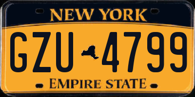 NY license plate GZU4799