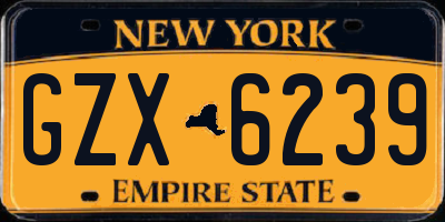 NY license plate GZX6239