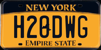 NY license plate H2ODWG