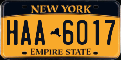 NY license plate HAA6017