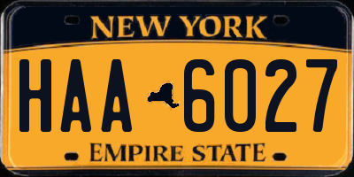 NY license plate HAA6027