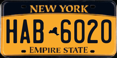 NY license plate HAB6020