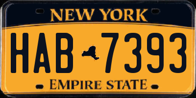 NY license plate HAB7393