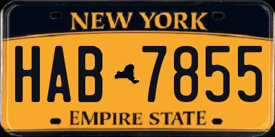 NY license plate HAB7855