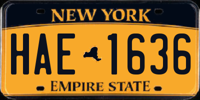 NY license plate HAE1636