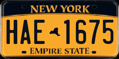 NY license plate HAE1675