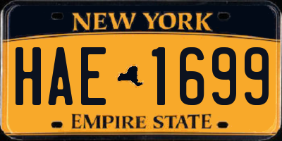NY license plate HAE1699
