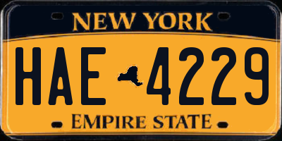 NY license plate HAE4229