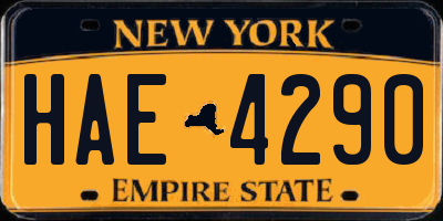 NY license plate HAE4290
