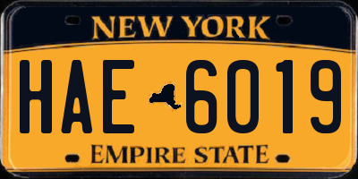NY license plate HAE6019
