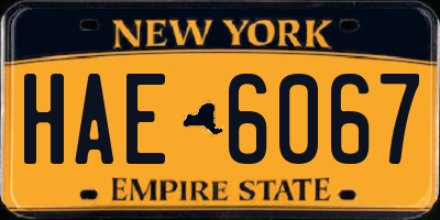 NY license plate HAE6067
