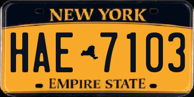 NY license plate HAE7103