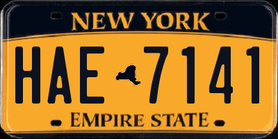 NY license plate HAE7141
