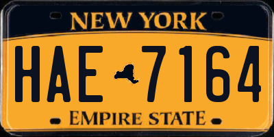 NY license plate HAE7164