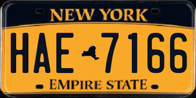 NY license plate HAE7166