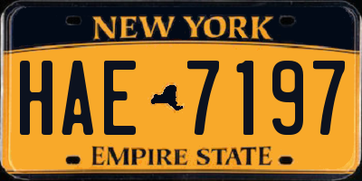 NY license plate HAE7197