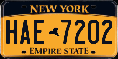 NY license plate HAE7202