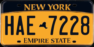 NY license plate HAE7228
