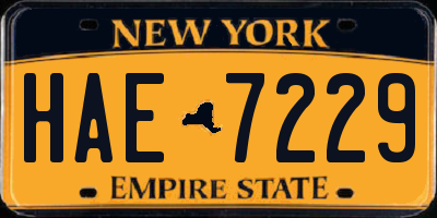NY license plate HAE7229