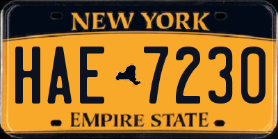 NY license plate HAE7230