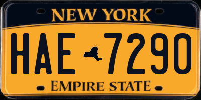 NY license plate HAE7290