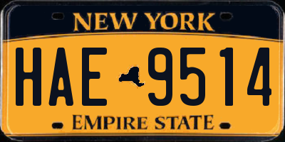 NY license plate HAE9514