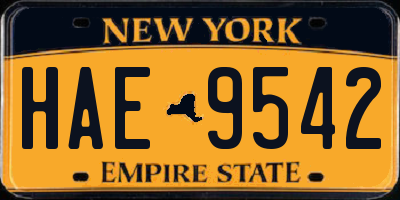NY license plate HAE9542