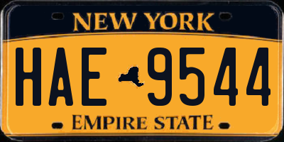 NY license plate HAE9544