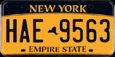 NY license plate HAE9563