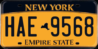 NY license plate HAE9568