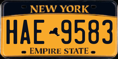 NY license plate HAE9583
