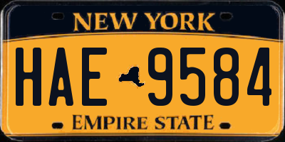 NY license plate HAE9584