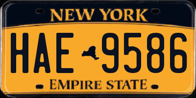 NY license plate HAE9586