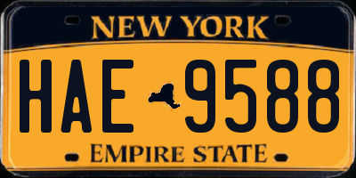 NY license plate HAE9588