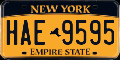 NY license plate HAE9595