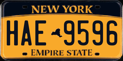 NY license plate HAE9596