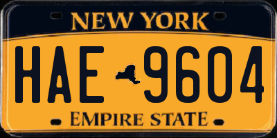 NY license plate HAE9604