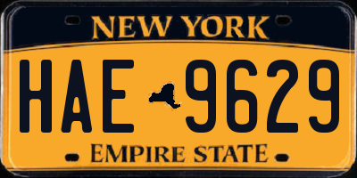 NY license plate HAE9629