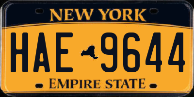 NY license plate HAE9644