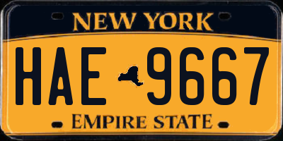 NY license plate HAE9667