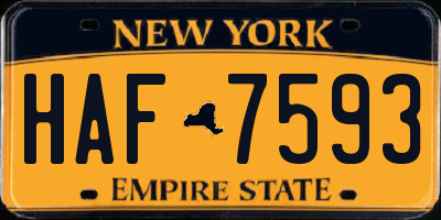 NY license plate HAF7593
