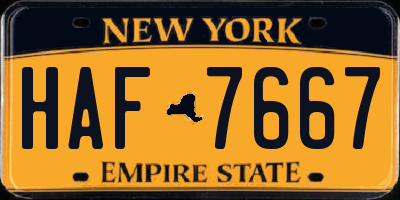 NY license plate HAF7667