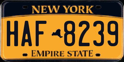 NY license plate HAF8239