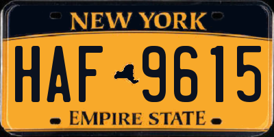NY license plate HAF9615