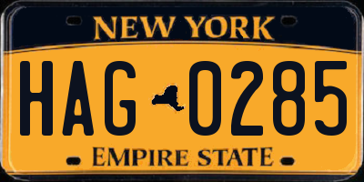 NY license plate HAG0285