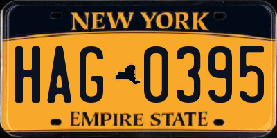 NY license plate HAG0395