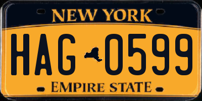 NY license plate HAG0599