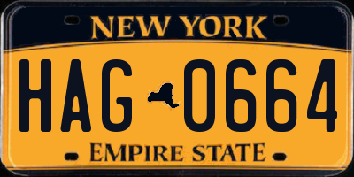 NY license plate HAG0664