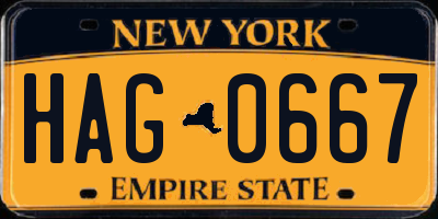 NY license plate HAG0667