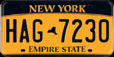 NY license plate HAG7230